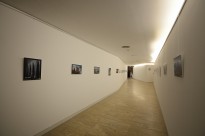 www.aljibemedieval.com